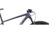 Rower górski Specialized S-Works Epic Hardtail XTR 2020